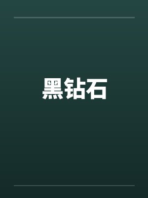 黑钻石by佚名笔趣阁无弹窗封面