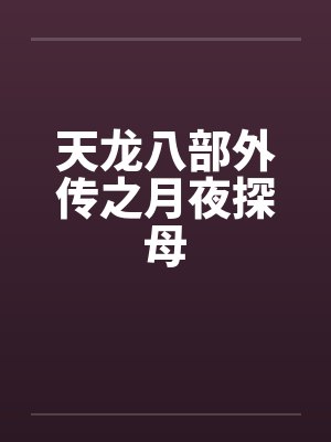 天龙八部外传之月夜探母by佚名笔趣阁无弹窗封面