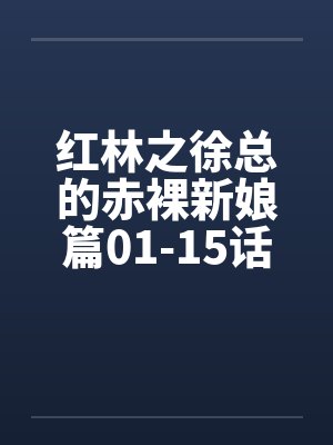 红林之徐总的赤裸新娘篇01-15话by佚名封面
