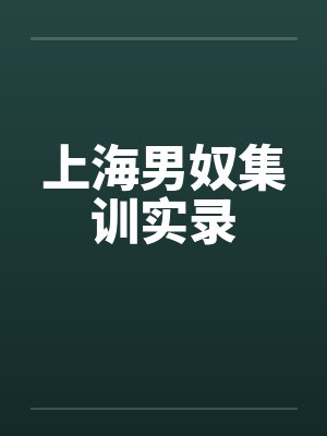 上海男奴集训实录by佚名封面