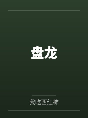 盘龙封面