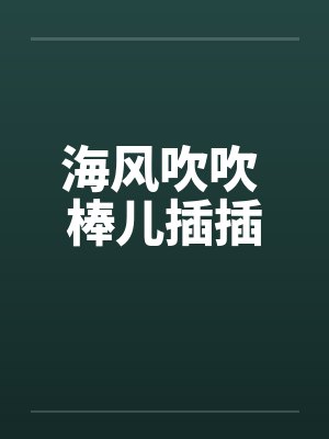 海风吹吹 棒儿插插封面