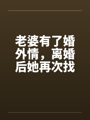 老婆有了婚外情，离婚后她再次找到我笔趣阁无弹窗封面